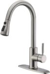 Top 10 Best Kitchen Faucets 2026